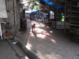 Kolkata-En-ville